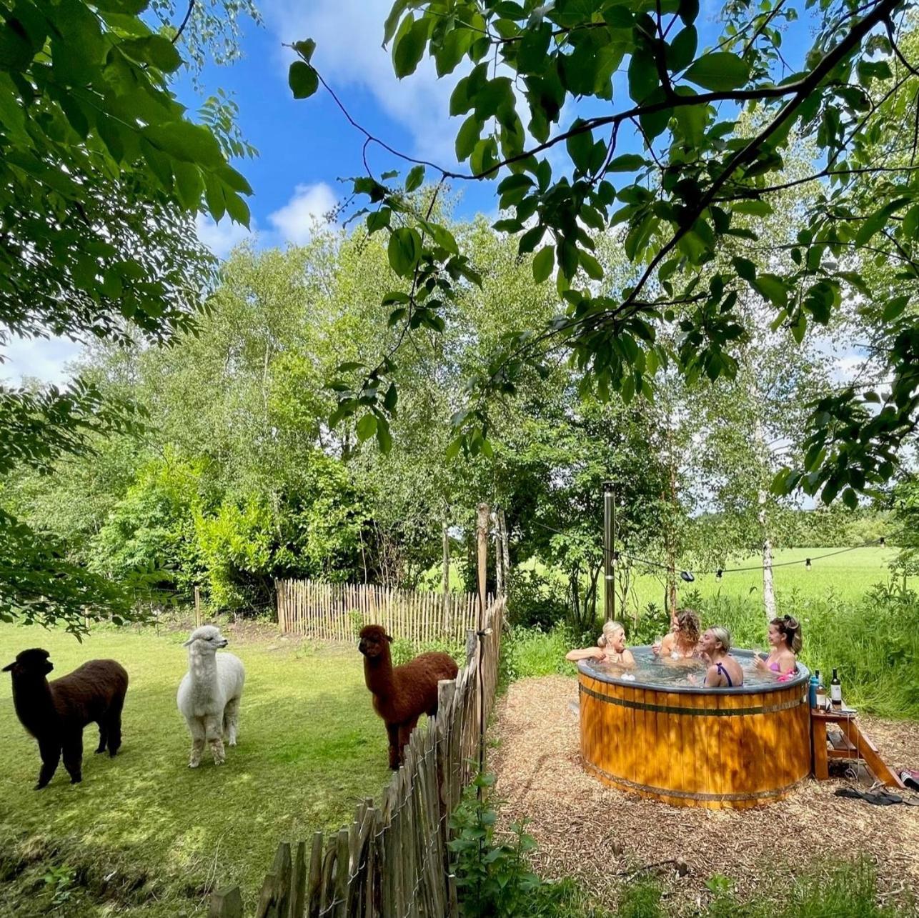 Campsite Caribbean Bedstee Voor 2 Personen